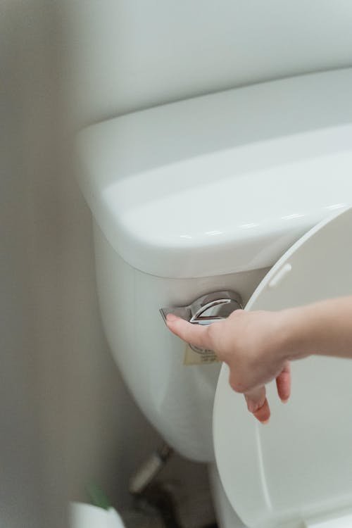 Desentupidora de Vaso Sanitário em Palhoça